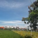 저곳에 | W15. 발리 신혼여행 짱구 ' 마데스 와룽, 핀스 클럽, 페니레인 이곳저곳 여행 후기