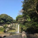 천지연 폭포 | 제주도 서귀포 가볼만한 곳 천지연 폭포 후기