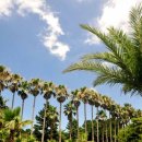 한림공원 이미지