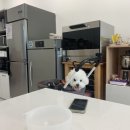 몽몽까까 이미지