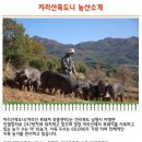고원농산 영농조합법인 이미지