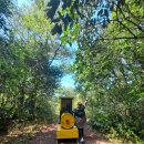 숲속의작은마을 이미지