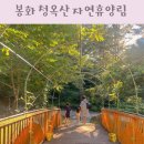 석포면사무소 | 봉화 국립 청옥산 자연휴양림 휴양관 산수국 숙소 추천