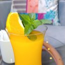 타우르스 이미지