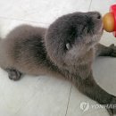 방천1리 이미지