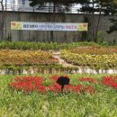 금호강변 이미지