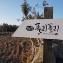 제주폴리폴리 이미지