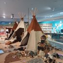 하천(금강3) | [공주 가볼만한곳] 아이와 함께 떠나는 선사시대 탐험! 공주 석장리 구석기 유적 박물관 후기