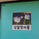 청산도OK펜션민박 | 청산도펜션 청산도ok펜션 이용후기