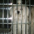 성서초교 이미지