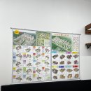 미스터홈즈부동산중개순천왕조센터 이미지