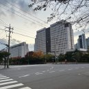 11545-11-30-25 | [일상] 알록달록 가을 반짝반짝 이른 겨울 25년 11