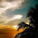 GO 당구클럽 이미지