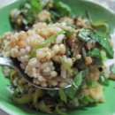 꽁보리밥 이미지