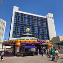 하이롤러 | 라스베가스 더 링크 프롬나드 쇼핑몰 · 하이롤러 대관람차 · 젤리샵 후기