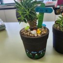 반려식물 원예화분 공예 이미지