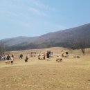 금호목장 이미지