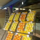 감곡2농장 이미지