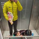 완성리싸이클 | 경량 패딩 최고봉 파타고니아 다운스웨터 구형 후기 및 사이즈팁