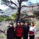 치악산숯가마 Daum카페