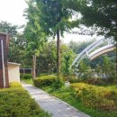 솔안공원 화장실 이미지