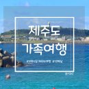 신도분식 | 제주도 3박 4일 가족여행, 셋째 날 가볼 만한 곳 동홍 분식, 대포 주상절리, 카멜리아힐, 신도포구, 대담