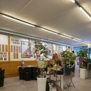 제주청년돼지 이미지