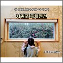 주홍민박 이미지