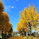 연천제일주유소 이미지