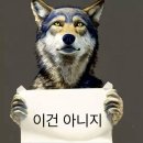 인스포지 | 앨리스 윈 - 인메모리엄 후기 (스포X/결말x) 짝남이랑 전쟁터에서 죽을 뻔한 썰 푼다