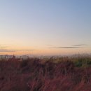 생태세상 이미지