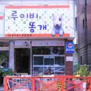 하나애견샵 이미지