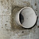 대한서비스 이미지