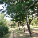 몽마르뜨 이미지