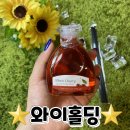 와이홀딩