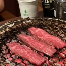 향남꽃처럼 이미지