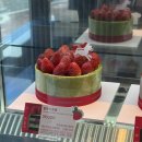 투썸플레이스통정점 | 천안 두바이케이크 디저트 맛집 추천 두초생 미니 후기