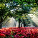 산호동126 이미지