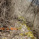 성터민박 이미지