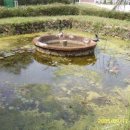 금지초등학교 이미지