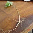 대동주유소 이미지