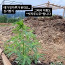 누리달아흐레