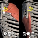 회룡본한의원 | 의정부 신곡동 필라테스, 하다 거북목, 라운드 숄더 원인