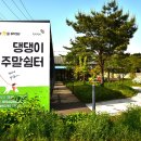 펫을 부탁해 이미지