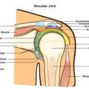 양산부산정형외과연구회 | 부산정형외과추천, 걸러야 할 후기 vs 필독해야할 후기는? 18년차 전문의 소견