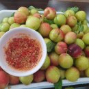 다미 PHO HA NOI 이미지