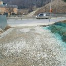시흥화원 이미지