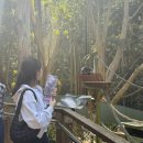 골드밸리 제1근린공원 화장실 | [호주 골드코스트] 커럼빈 야생동물 보호구역, 골드코스트 여행 추천