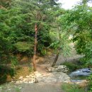 다함한의원 이미지