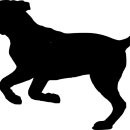 북아현동물병원 이미지